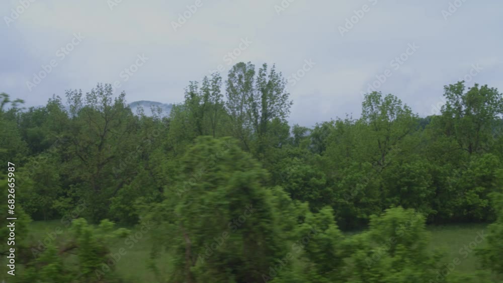 Driving Plate For Green Screen: wide Window View of meadow and woods - Virginia Driving Plate For Green Screen: wide Window View of meadow and woods - Virginia