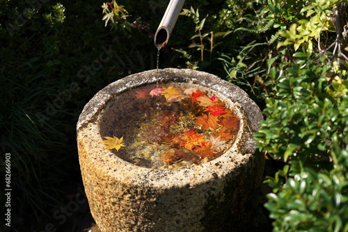 手水鉢の紅葉・秋風景
