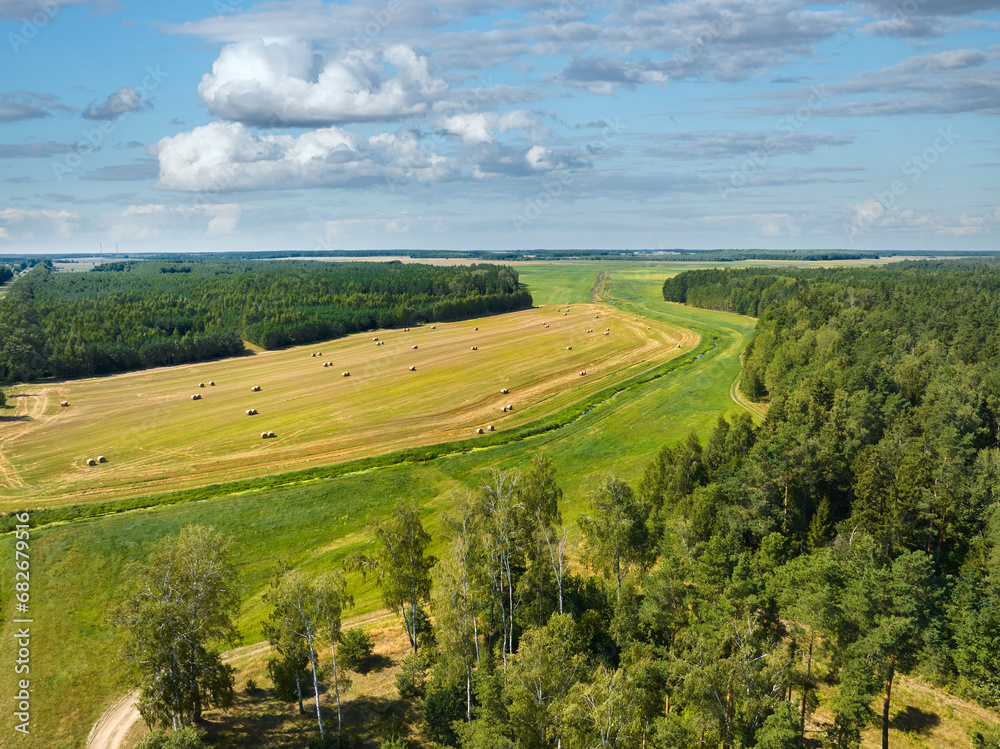 Obraz premium Big plantations of field of wheat and green forest plots