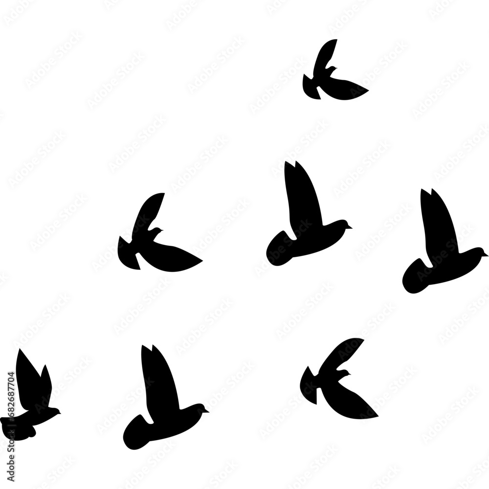 Flock of Pigeon Flying 