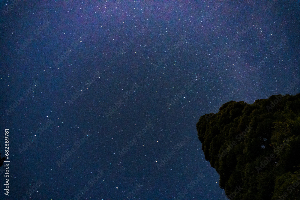 The night sky from Shikanosawa Hut on Yakushima Island The night sky from Shikanosawa Hut on Yakushima Island