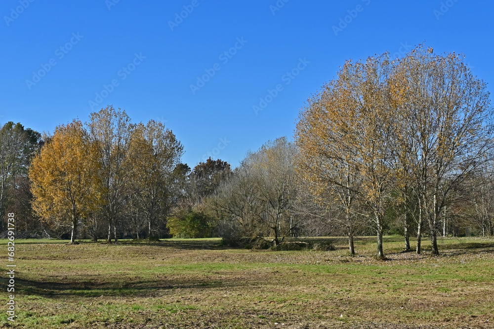 Autunno in Lombardia - Basiglio, Parco Agricolo Sud Milano Autunno in Lombardia - Basiglio, Parco Agricolo Sud Milano