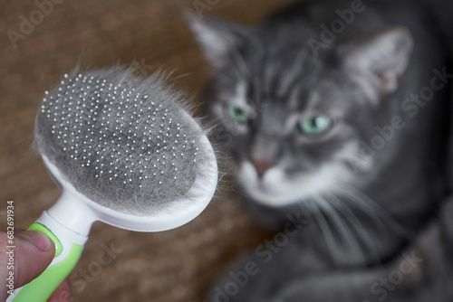 pet hair brush with hairball