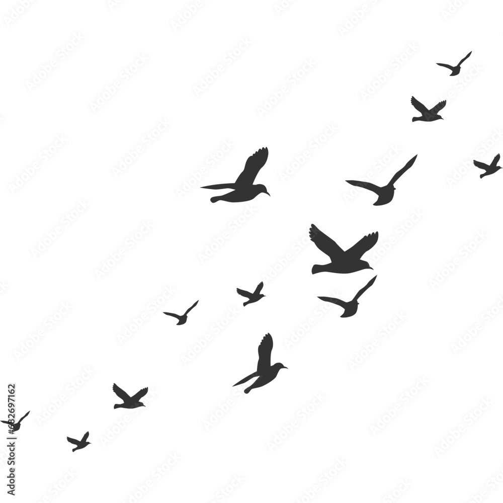 Flock of Pigeons Flying Flock of Pigeons Flying