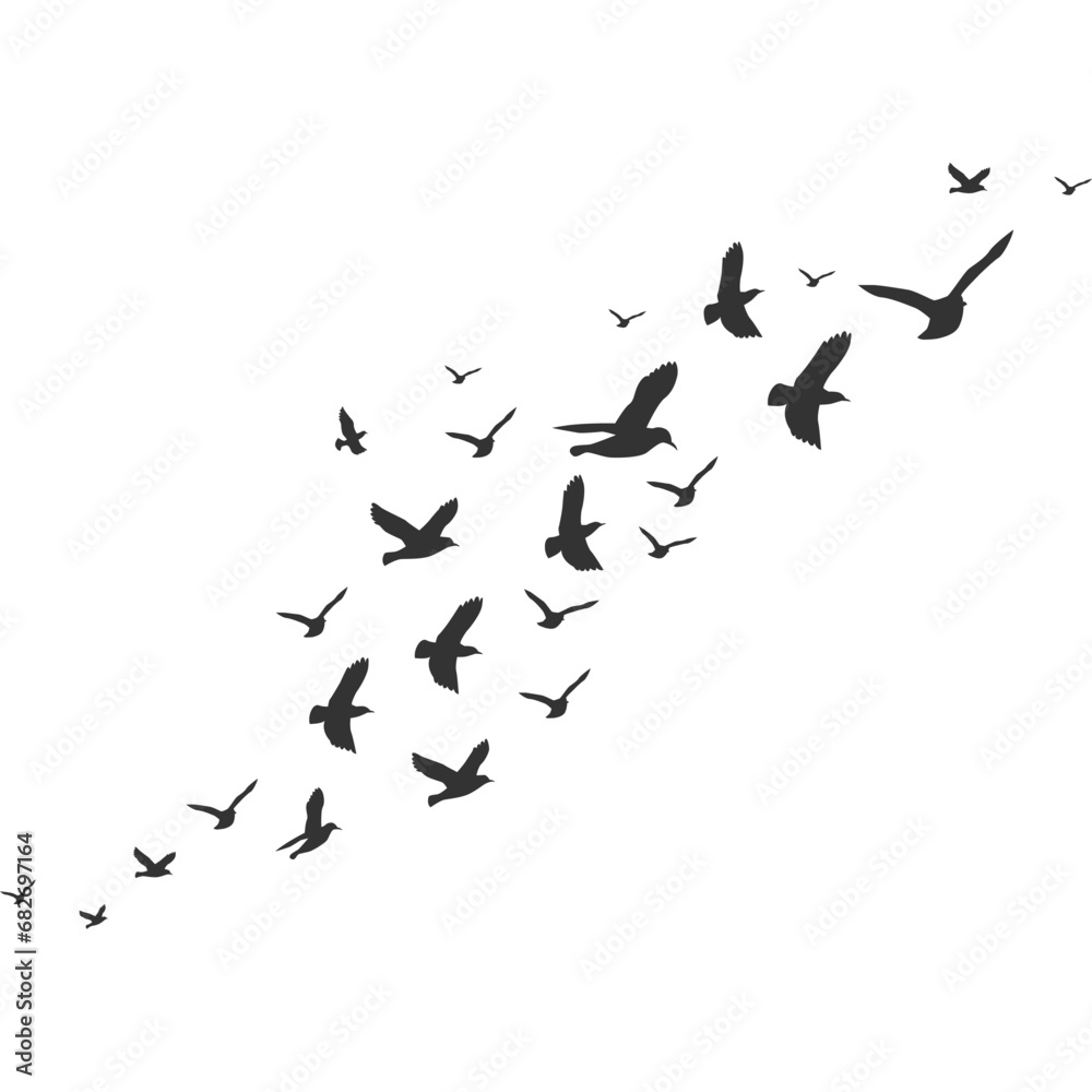 Flock of Pigeons Flying