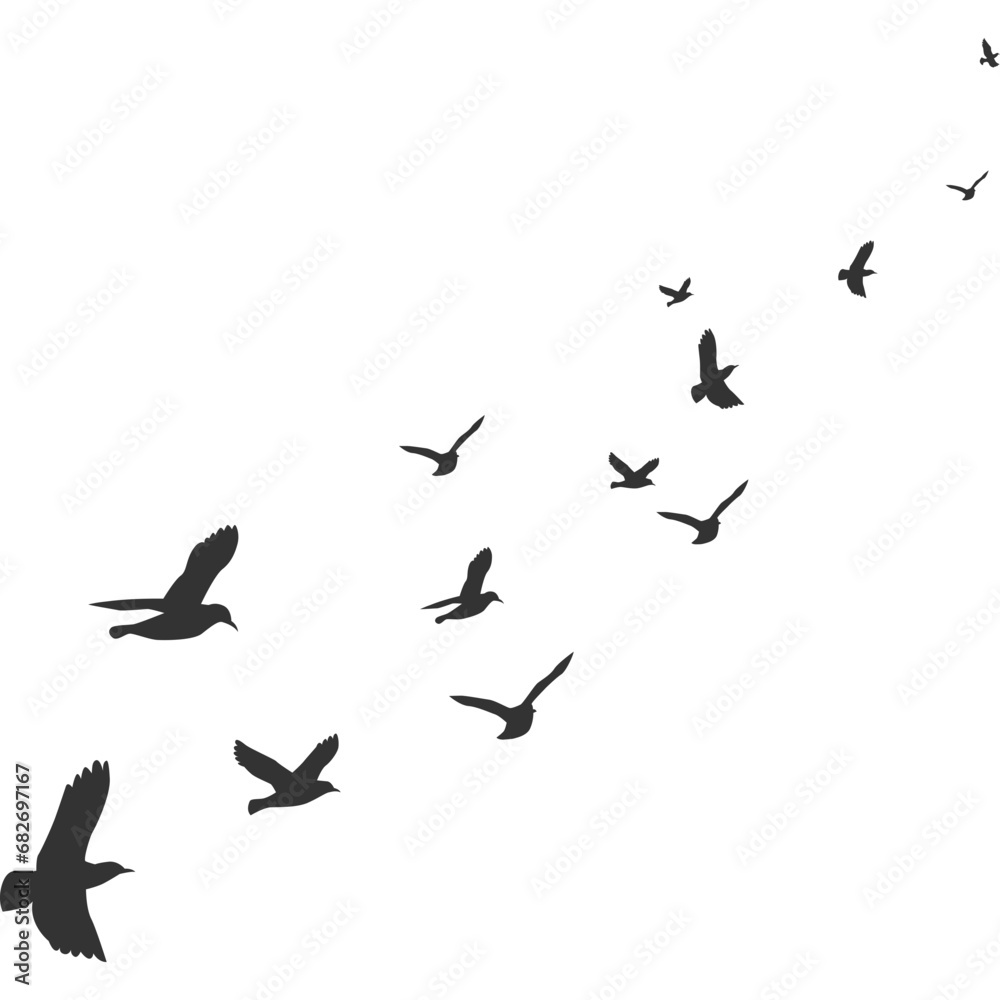 Flock of Pigeons Flying Flock of Pigeons Flying