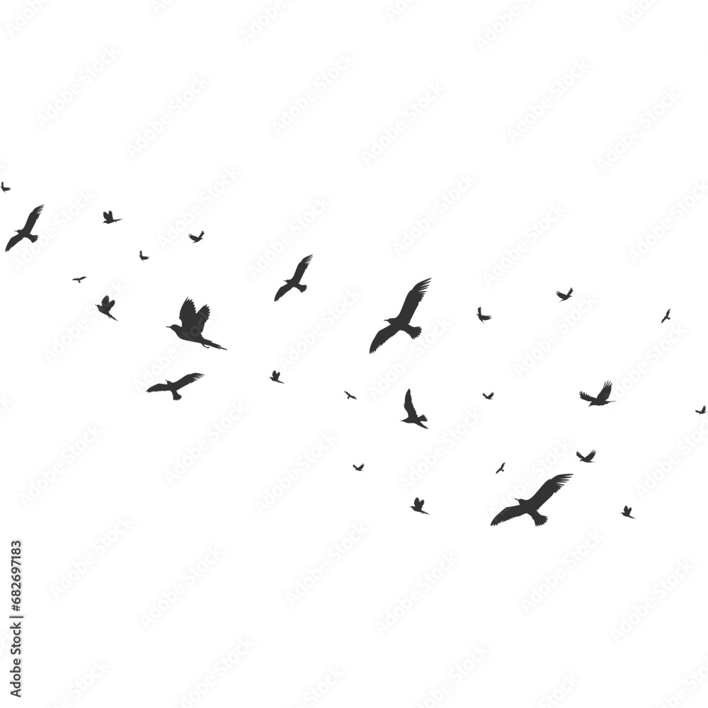 Flock of Pigeons Flying Flock of Pigeons Flying