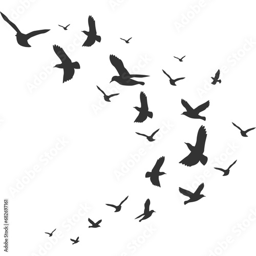 Flock of Pigeons Flying © Nursayanti-images