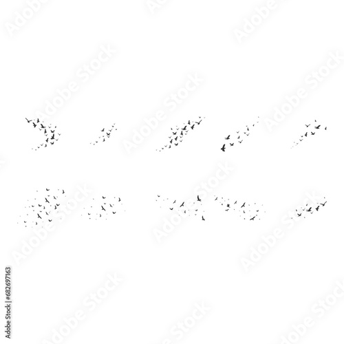 Flock of Pigeons Flying © Nursayanti-images