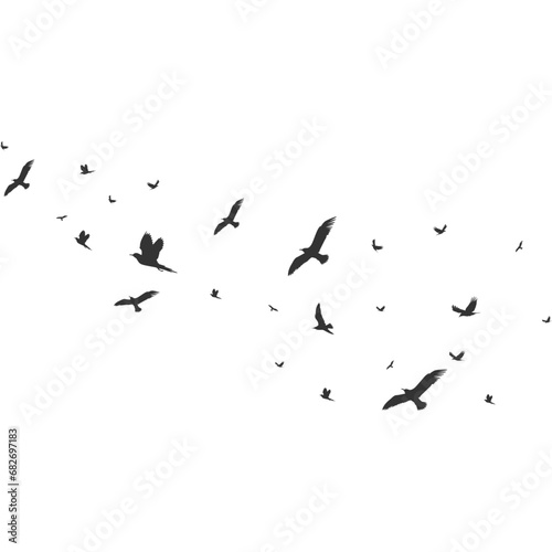 Flock of Pigeons Flying
