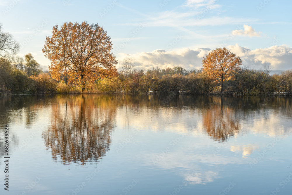 Trees reflected in a flooded meadow after heavy rains. Autumn landscape.
