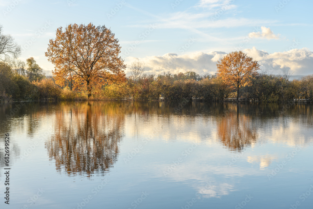 Trees reflected in a flooded meadow after heavy rains. Autumn landscape. Trees reflected in a flooded meadow after heavy rains. Autumn landscape.