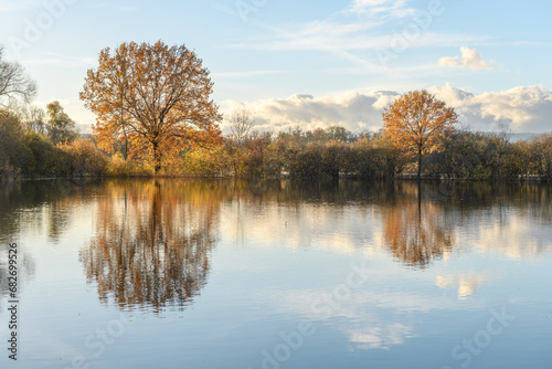 Trees reflected in a flooded meadow after heavy rains. Autumn landscape.