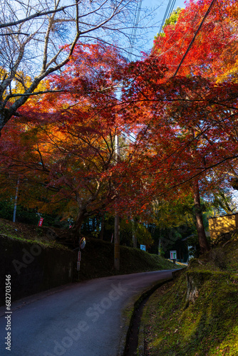 毘沙門堂の紅葉