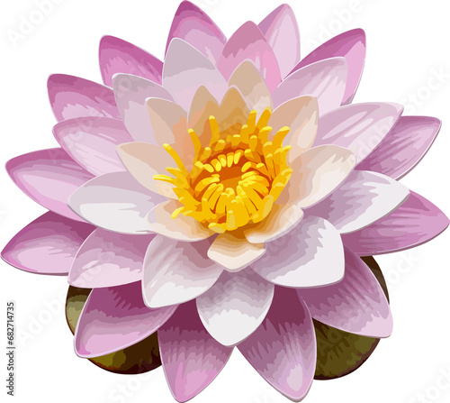 Water lily clip art