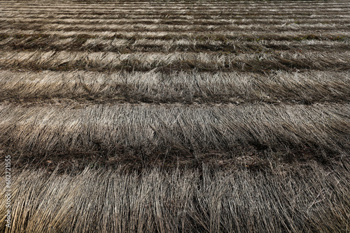 Flax retting in Eure, France. photo