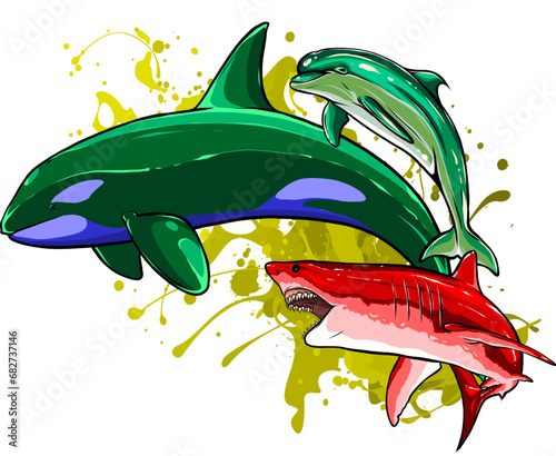 Set of Marine mammals vector illustration. digital hand draw design