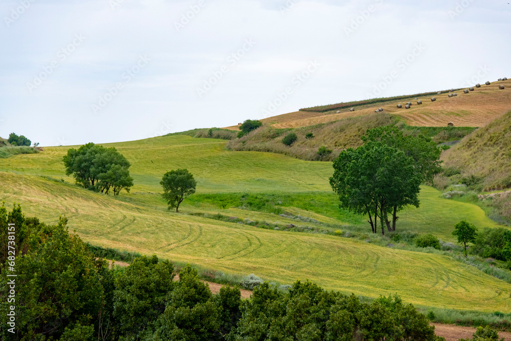 Agricultural Fields in Ragusa - Sicily - Italy Agricultural Fields in Ragusa - Sicily - Italy