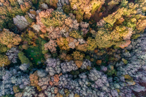 aerial view of autumn forest, fall textured background