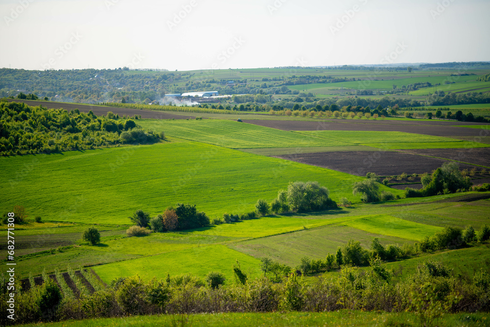 Green Valley, Field and Forest