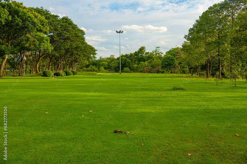 Obraz premium Green city public park meadow grass sunshine blue sky with cloud