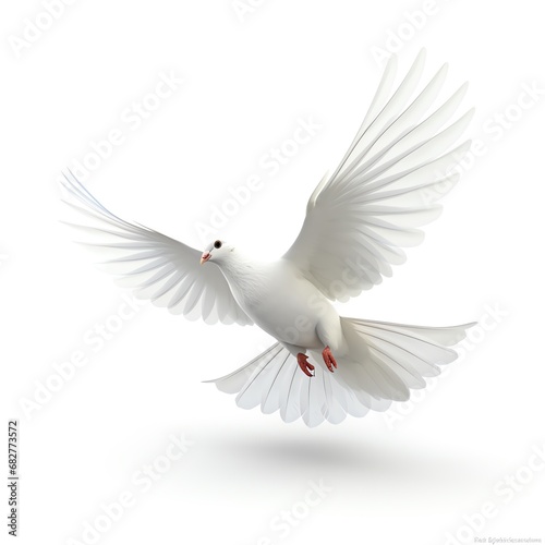 a white dove flying with wings spread