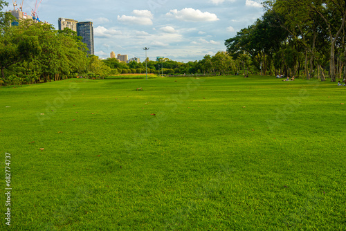 Green city public park meadow grass sunshine blue sky with cloud
