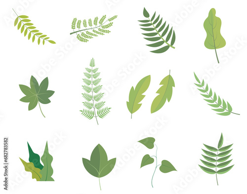 Set Leaves Plant Element For Autumn Season and White Background