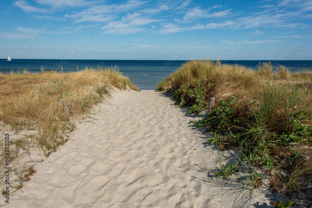 Path between the sand dunes overlooking the sea