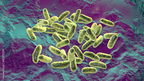 Haemophilus influenzae bacteria, 3D illustration photo