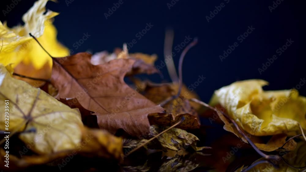 A stack of colorful autumn leaves revolves, showcasing a palette of yellow, brown, and orange in bright illumination. A stack of colorful autumn leaves revolves, showcasing a palette of yellow, brown, and orange in bright illumination.