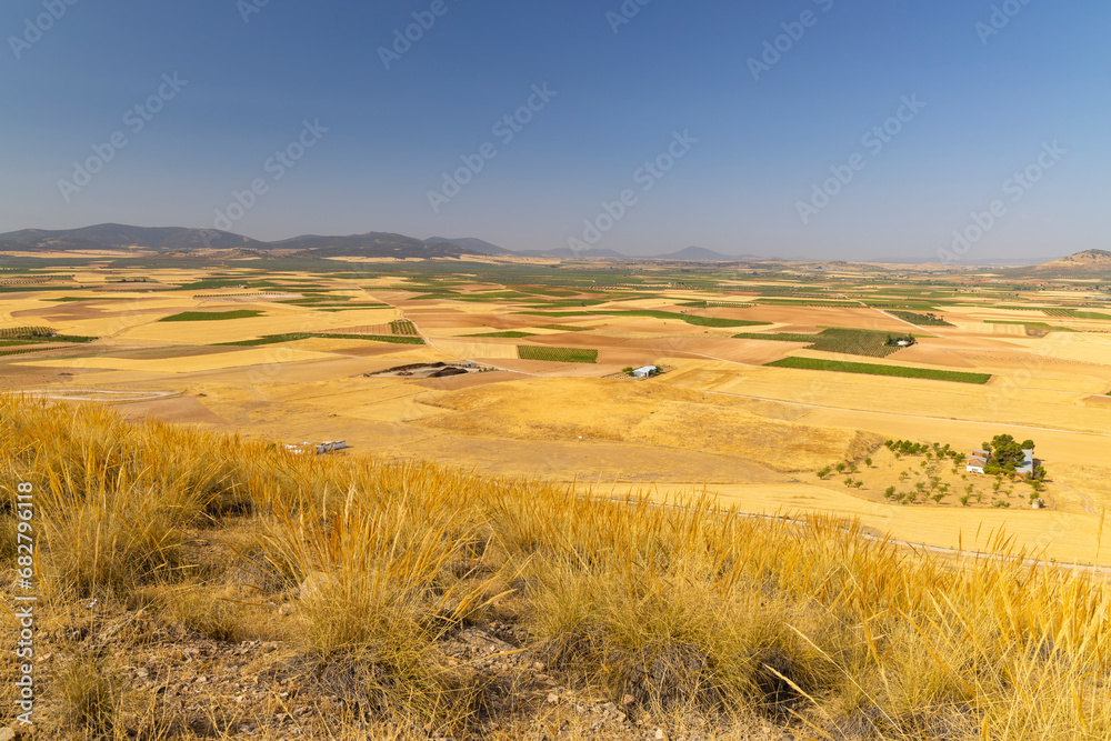 Obraz premium landscape of Castilla La Mancha near Consuegra, Spain