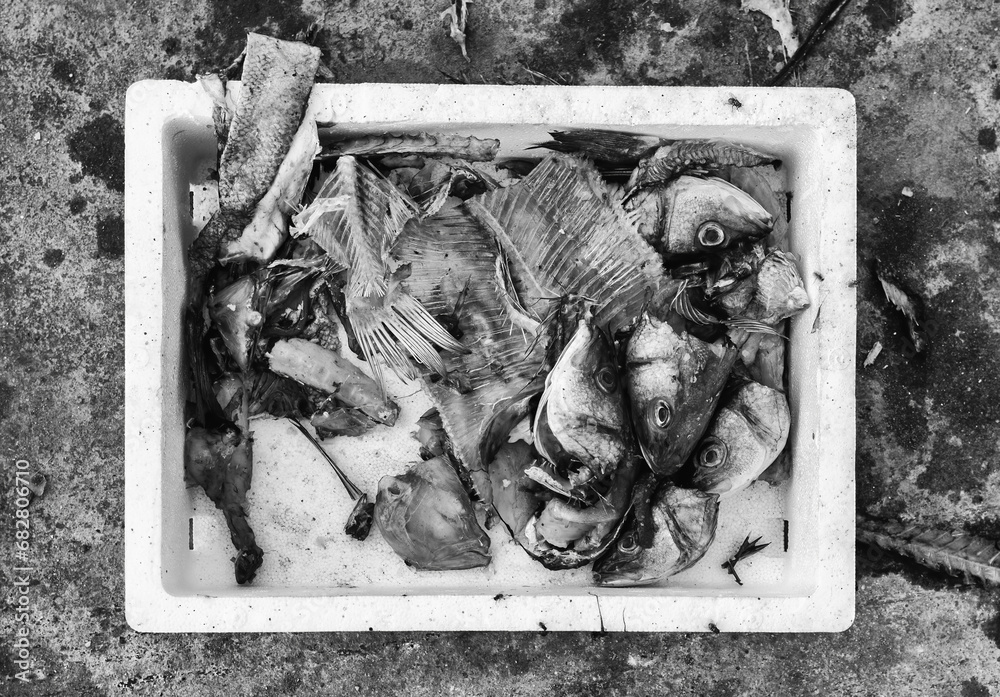Spoiled fish in the trash