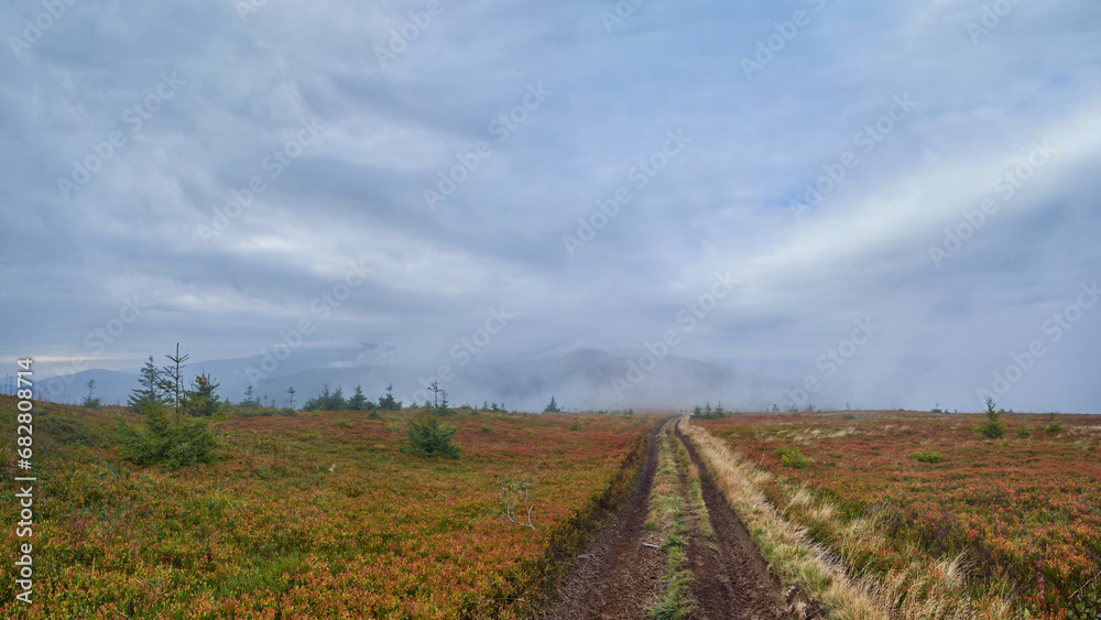 Dirt road on an autumn mountain pasture. Light fog in the distance, low clouds, red blueberry leaves