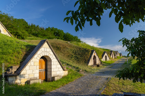 Gombos-hegyi pincesor in Hercegkut, UNESCO site, Great Plain, North Hungary photo