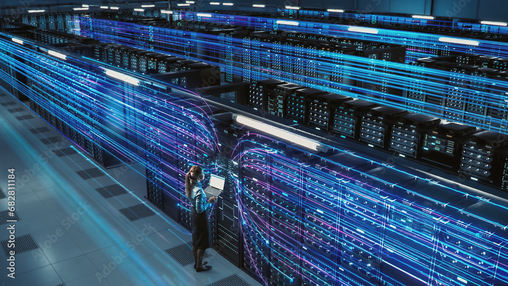 custom made wallpaper toronto digital3D Graphics Concept: Big Data Center Female Chief Technology Officer Using Laptop Standing In Warehouse, Activates Servers, Information Digitalization Starts. SAAS, Cloud Computing, Online Service