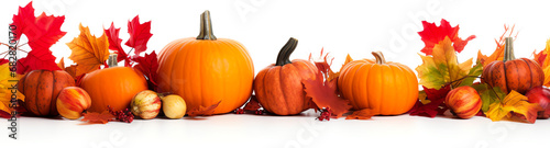 autumn pumpkins and orange red leaves transparent texture