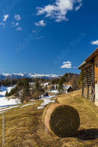 Typical wooden log cabins in Gorjuse, Triglavski national park, Slovenia photo