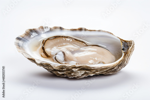 a oyster shell with a spoon in it