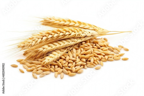 Wheat ears and grains on a white background
