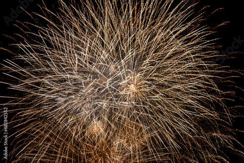 Fireworks exploding against the night sky