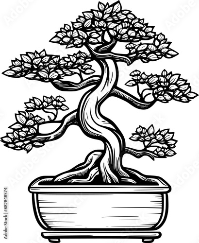 bonsai tree