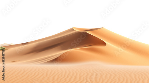 landscape of golden sand dune