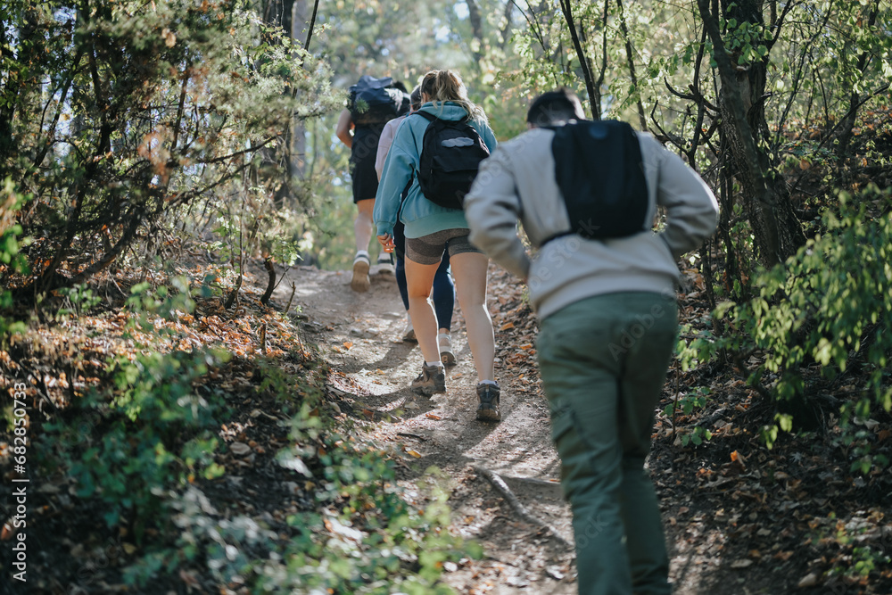 Energetic young hikers explore forest on sunny day. Exercising, having fun, and discussing various topics while enjoying the fresh air and stunning mountain scenery.