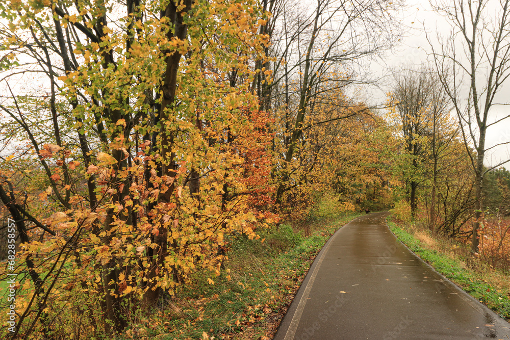 Obraz premium Regnerischer Spätherbst im Bergischen Land; Bergischer Panorama-Radweg bei Wipperfürth