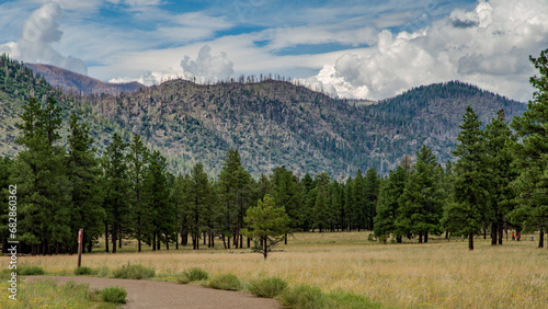 View of Mt. Humphrey from the trail in the Buffalo Park, Flagstaff, Arizona