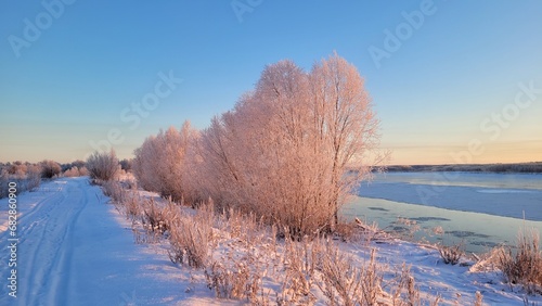 Winter landscape with frozen trees