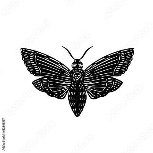 Dead head moth illustration. Witchy magic symbol. Linocut print style. Vector.