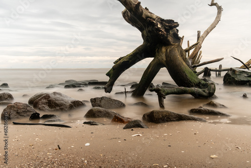 Mystic Echoes  Sea Rocks and the Enigmatic Fallen Tree  a Long Exposure Tale of Nature s Surreal Symphony