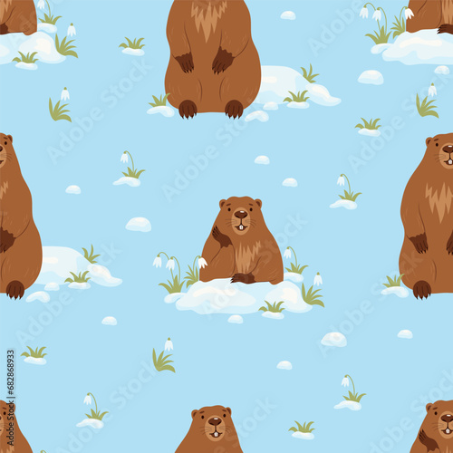 Seamless pattern with cute animal marmots with snow and snowdrops on blue background. Vector illustration. Holiday design, decor, packaging and wallpaper for Groundhog Day February 2.
